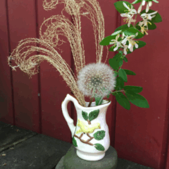 Finding beauty everywhere