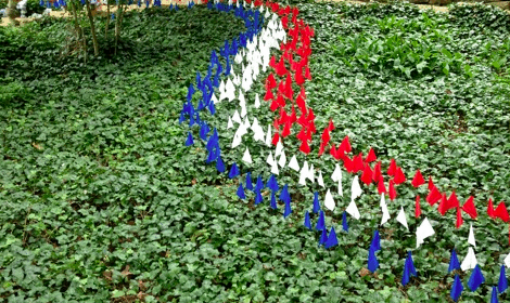 Seeing a red (or white, or blue) flag