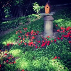 Fill in the blanks…