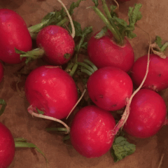 Roasted veggie rice bowl with honey dijon dressing