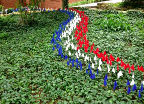 Seeing a red (or white, or blue) flag